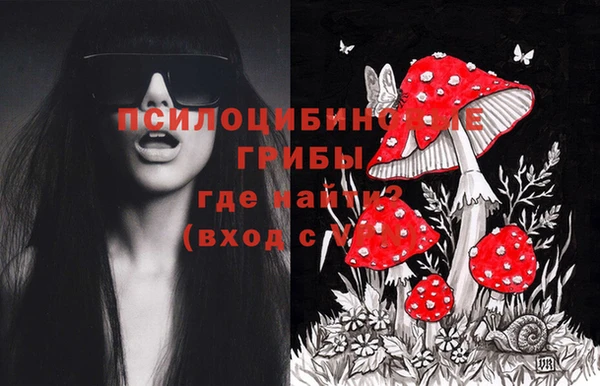 таблы Горняк
