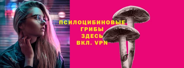 apvp Горнозаводск
