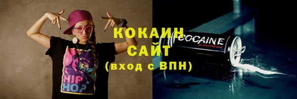 apvp Горнозаводск