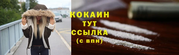 тгк Горно-Алтайск