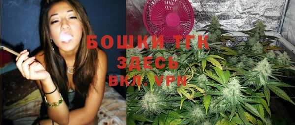 таблы Горняк