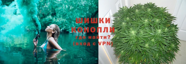 тгк Горно-Алтайск