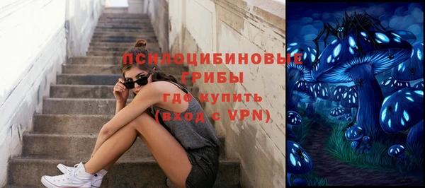 таблы Горняк